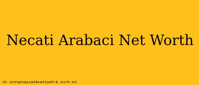 Necati Arabaci Net Worth